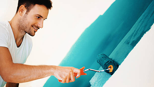 Reliable Boulevard Gardens, FL Mold Removal Solutions