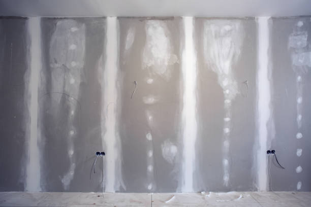  Boulevard Gardens, FL Mold Removal Pros